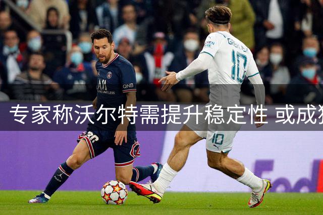 专家称沃尔特需提升稳定性 或成猛龙关键得分点
